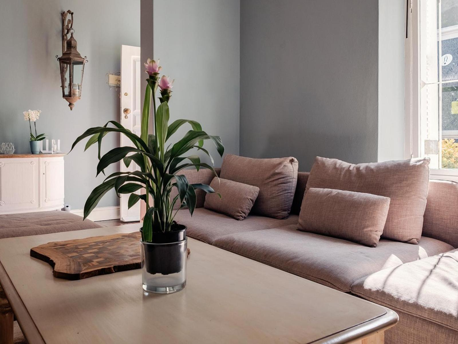 Purple House Accommodations Kapstadt Zimmer foto